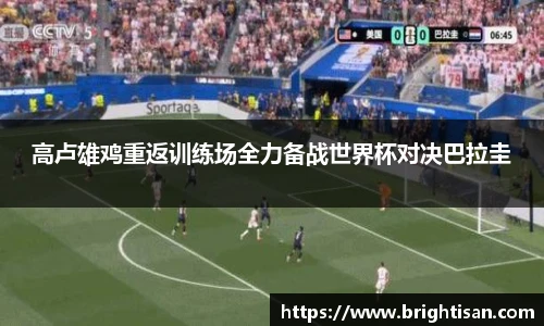 高卢雄鸡重返训练场全力备战世界杯对决巴拉圭